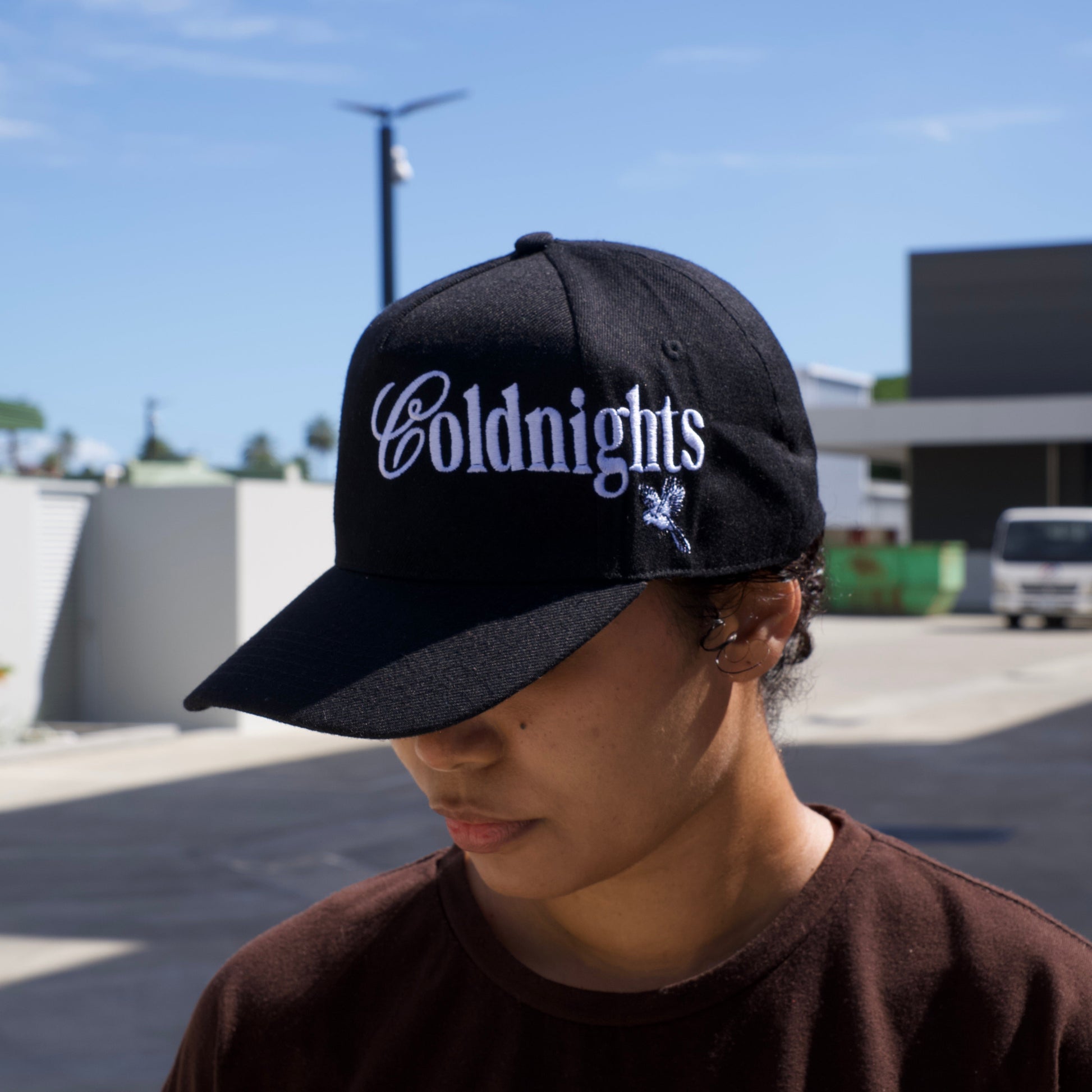 Person wearing a black cap with 'Gold Knights' logo against a blue sky.