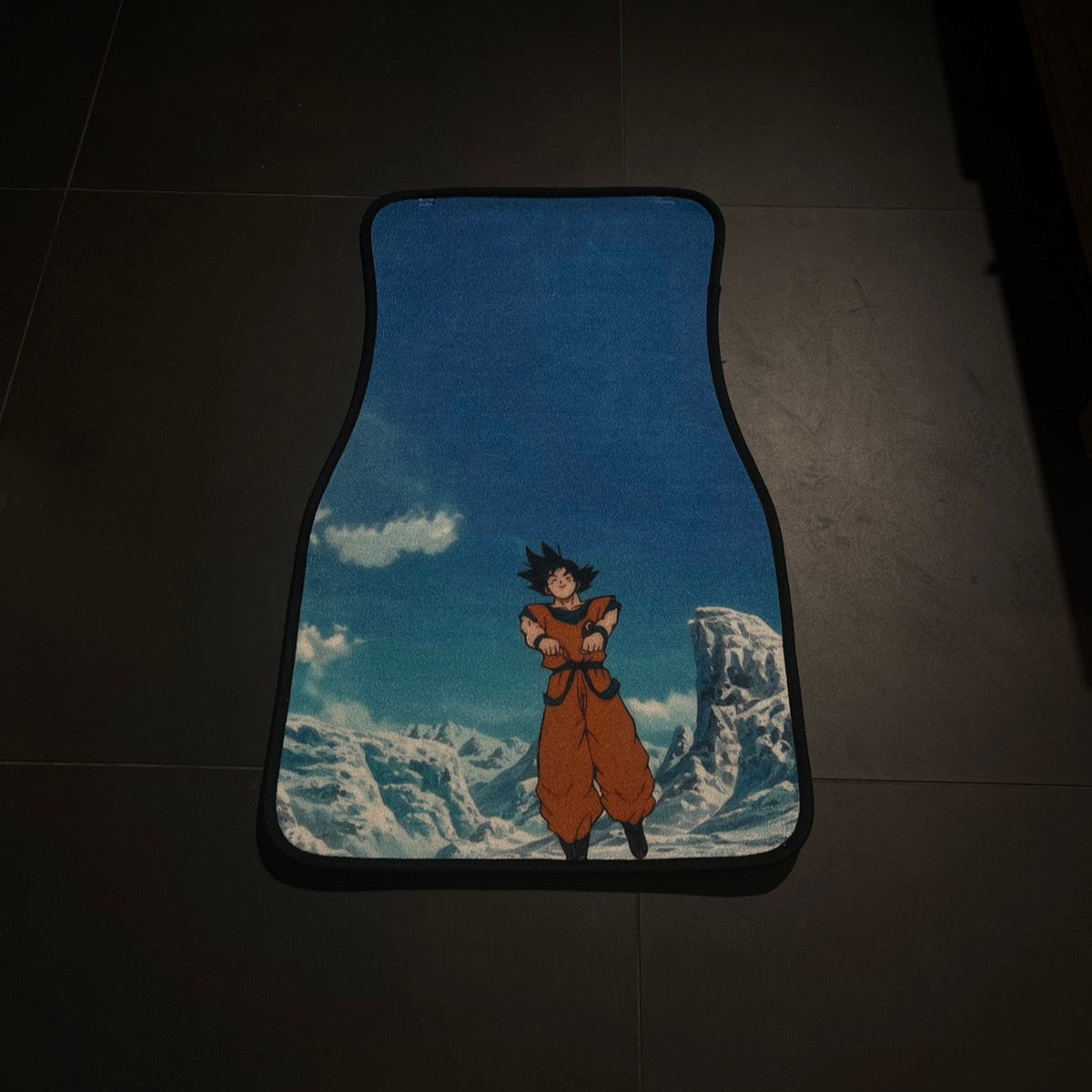 CAR RUGS (SET OF TWO)